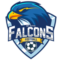 Falcons-Football