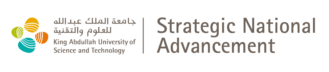 SA_190422_Strategic National Advancement Logo Lockup_Colored